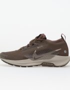 Nike Сникърси Pegasus Trail 5 Gore-Tex Ironstone/ College Grey-Velvet Brown