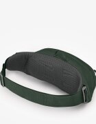 Osprey Чантичка за кръста Daylite Waist Green Belt/ Green Canopy