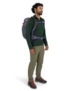 Osprey Раница Hikelite 28 Graphite Purple