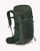 Osprey Раница Talon 33 Green Canopy/ Pine Leaf