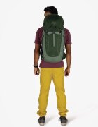 Osprey Раница Talon 33 Green Canopy/ Pine Leaf
