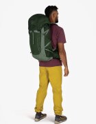 Osprey Раница Talon 33 Green Canopy/ Pine Leaf