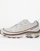 Salomon Сникърси XT-6 Expanse Anciew/ Bchoco/ Ftw Silv