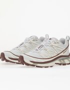 Salomon Сникърси XT-6 Expanse Anciew/ Bchoco/ Ftw Silv