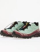 Salomon Сникърси XT-6 GTX Lichen/ Nocturne/ Claqua