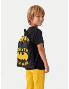 Batman Торба CEO-ACCS-AW26-110WBBAT