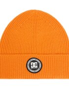 DC Shoes Шапка CEO-DC-M3-001-AW25
