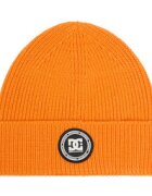 DC Shoes Шапка CEO-DC-M3-001-AW25