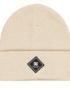 DC Shoes Шапка Label ADYHA04164