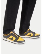 Nike Сникърси Dunk Low Retro HF5441 700
