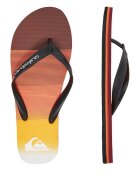 Quiksilver Джапанки 839477