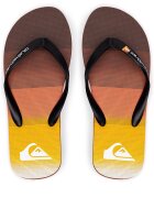 Quiksilver Джапанки MOLOKAI STRIPE AQYL101361 XNNK