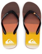 Quiksilver Джапанки MOLOKAI STRIPE AQYL101361 XNNK