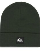 Quiksilver Шапка EQYHA03426
