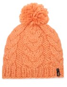 Roxy Шапка Blizzard ERJHA04325