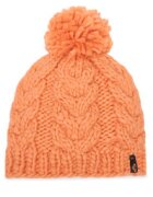 Roxy Шапка Blizzard ERJHA04325