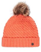 Roxy Шапка Blizzard ERJHA04415