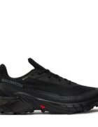 Salomon Маратонки за бягане Alphacross 5 Gore-Tex L47307500