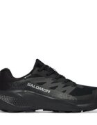 Salomon Маратонки за бягане Alphaglide Gtx W L49214400