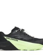 Salomon Маратонки за бягане Pulsar L47887800 Черен