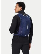 Salomon Раница Trailblazer 10 LC2183000