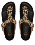 Scholl Джапанки Anais F00629