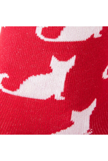 Cup of Sox Дълги чорапи unisex Czerwone Skarpety W Całkiem Białe Koty A Червен - Mera.bg
