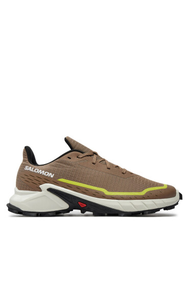 Salomon Маратонки за бягане Alphacross 5 L47460100 Бежов - Mera.bg