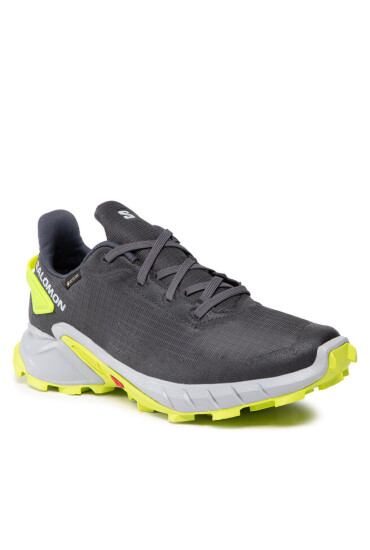 Salomon Обувки Alphacross 4 Gtx GORE-TEX 470667 26 V0 Ebony/Pearl Blue/Acid Lime - Mera.bg