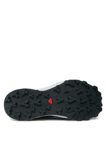 Salomon Маратонки за бягане Thundercross GORE-TEX L47383500 Черен - Mera.bg
