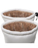 Asportuguesas Боти - Mera.bg