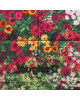 Desigual Дамска чанта 22WAXA80 4105 - Mera.bg