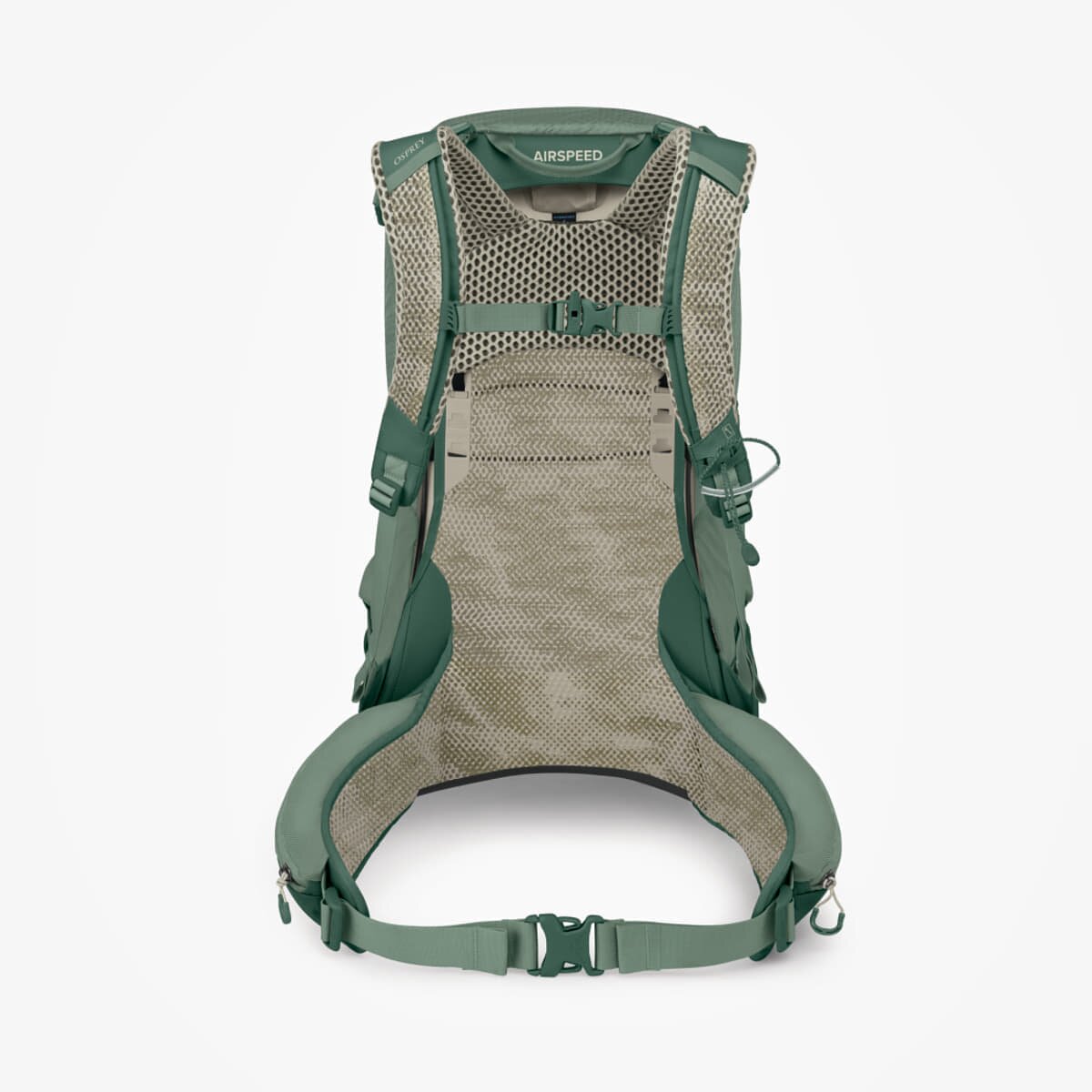 Osprey Раница Stratos 24 Pine Leaf Green