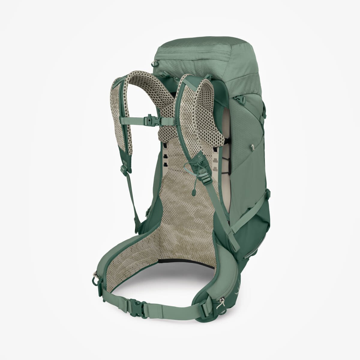 Osprey Раница Stratos 36 Pine Leaf Green