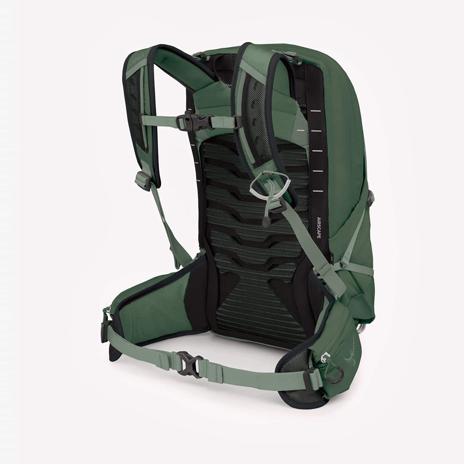 Osprey Раница Talon 11 Green Canopy