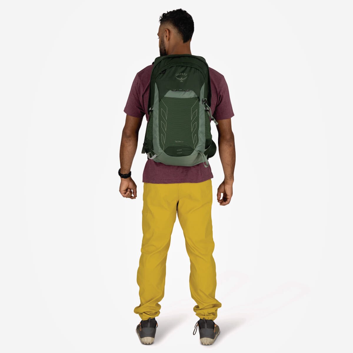 Osprey Раница Talon 22 Green Canopy/ Pine Leaf