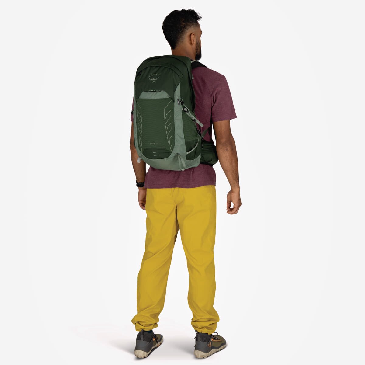 Osprey Раница Talon 22 Green Canopy/ Pine Leaf