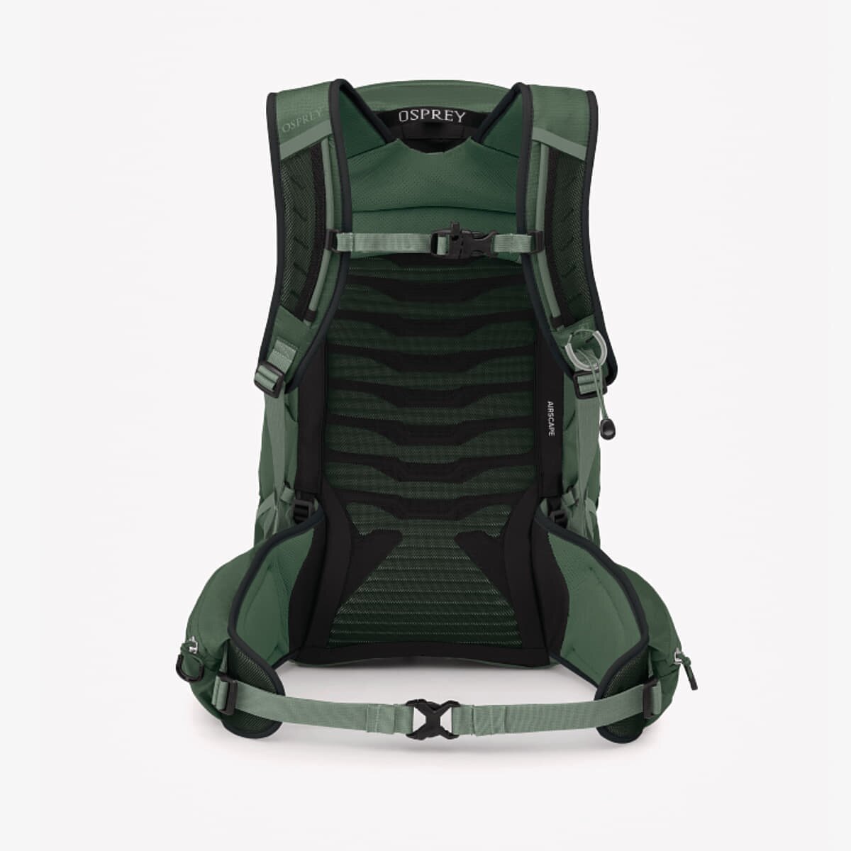 Osprey Раница Talon 22 Green Canopy/ Pine Leaf