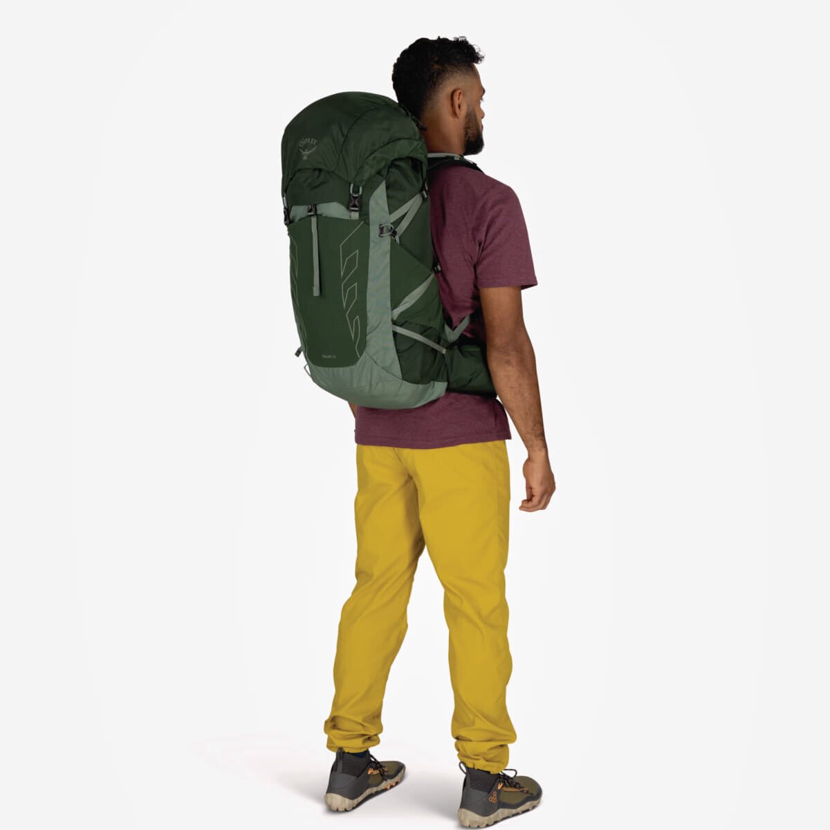 Osprey Раница Talon 33 Green Canopy/ Pine Leaf