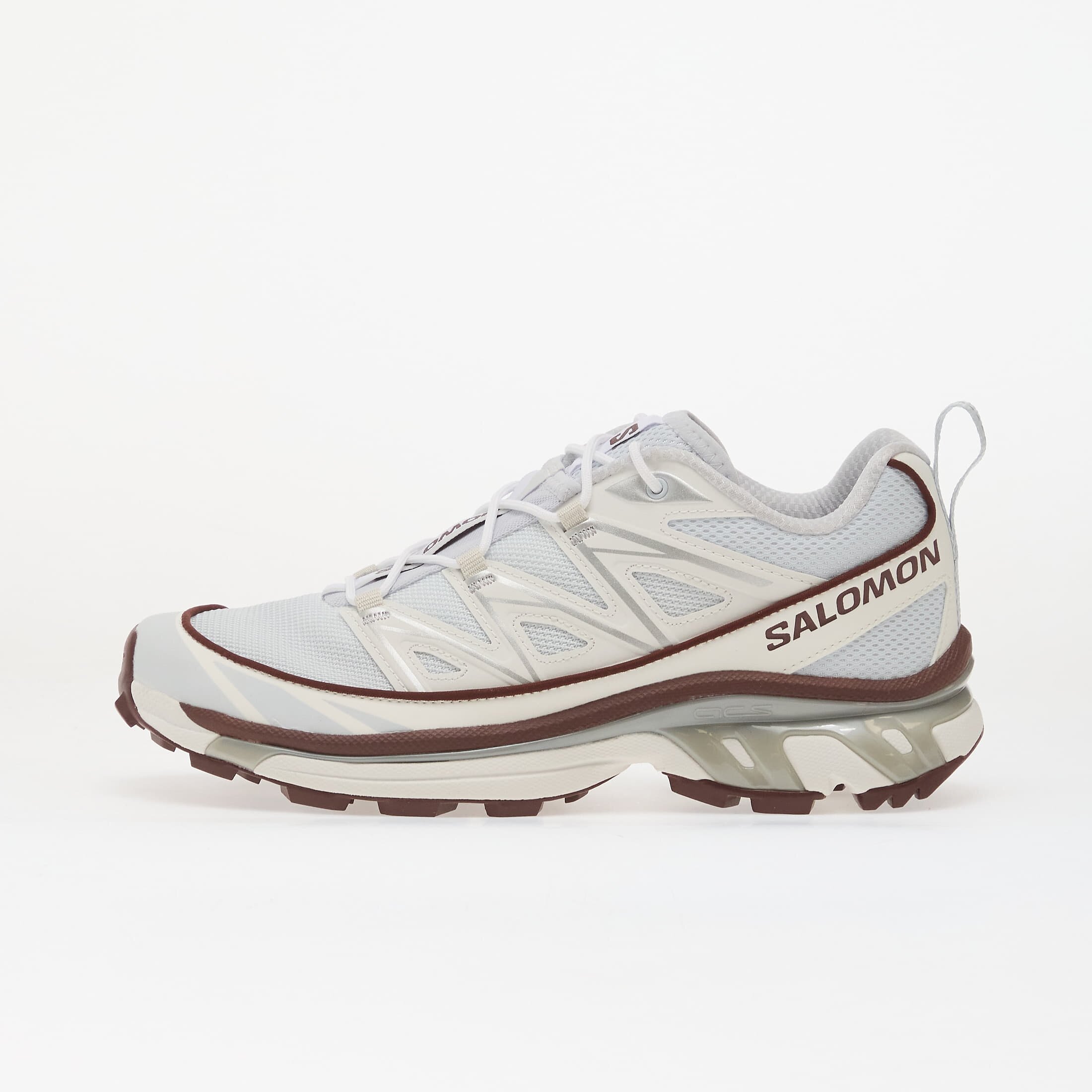 Salomon Сникърси XT-6 Expanse Anciew/ Bchoco/ Ftw Silv