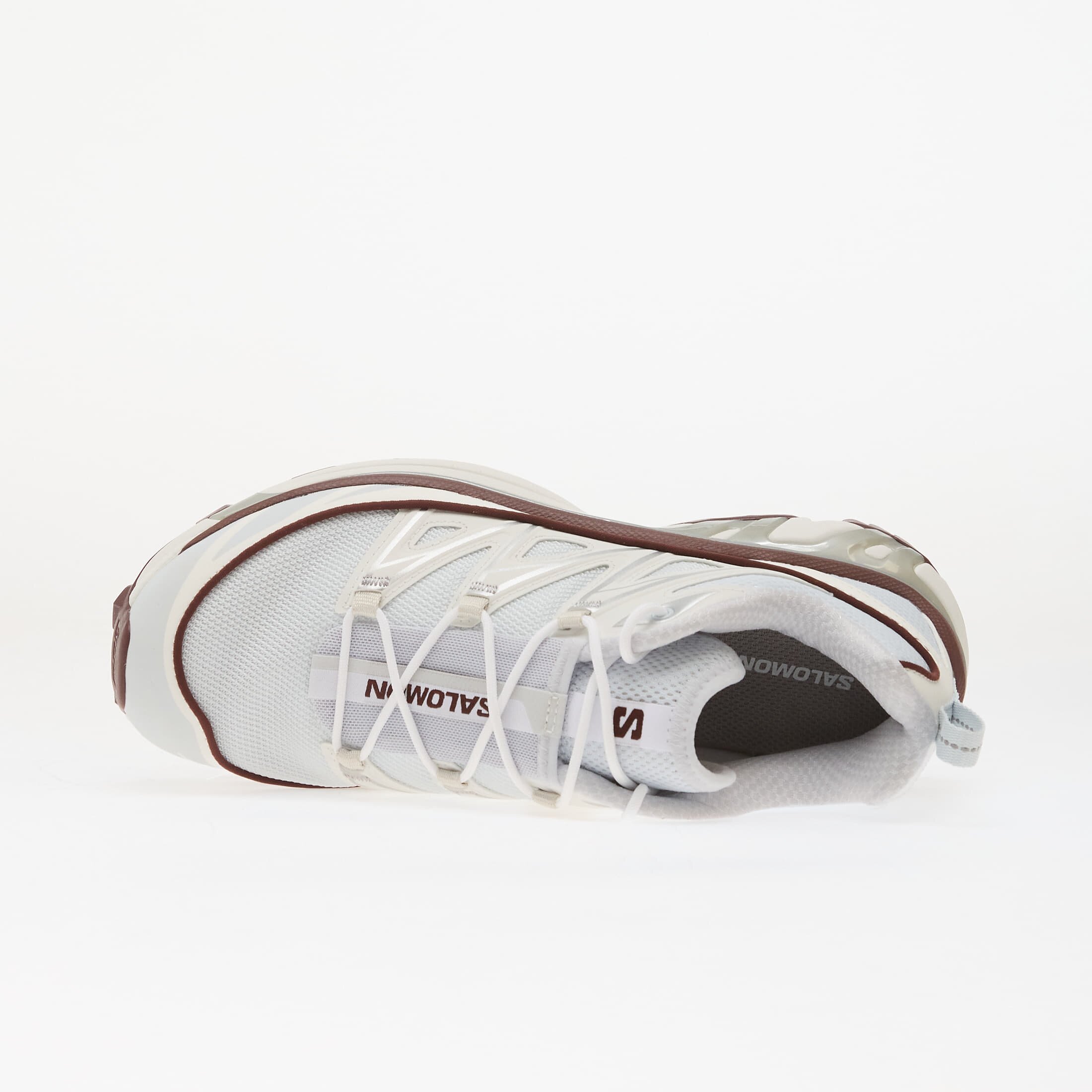Salomon Сникърси XT-6 Expanse Anciew/ Bchoco/ Ftw Silv