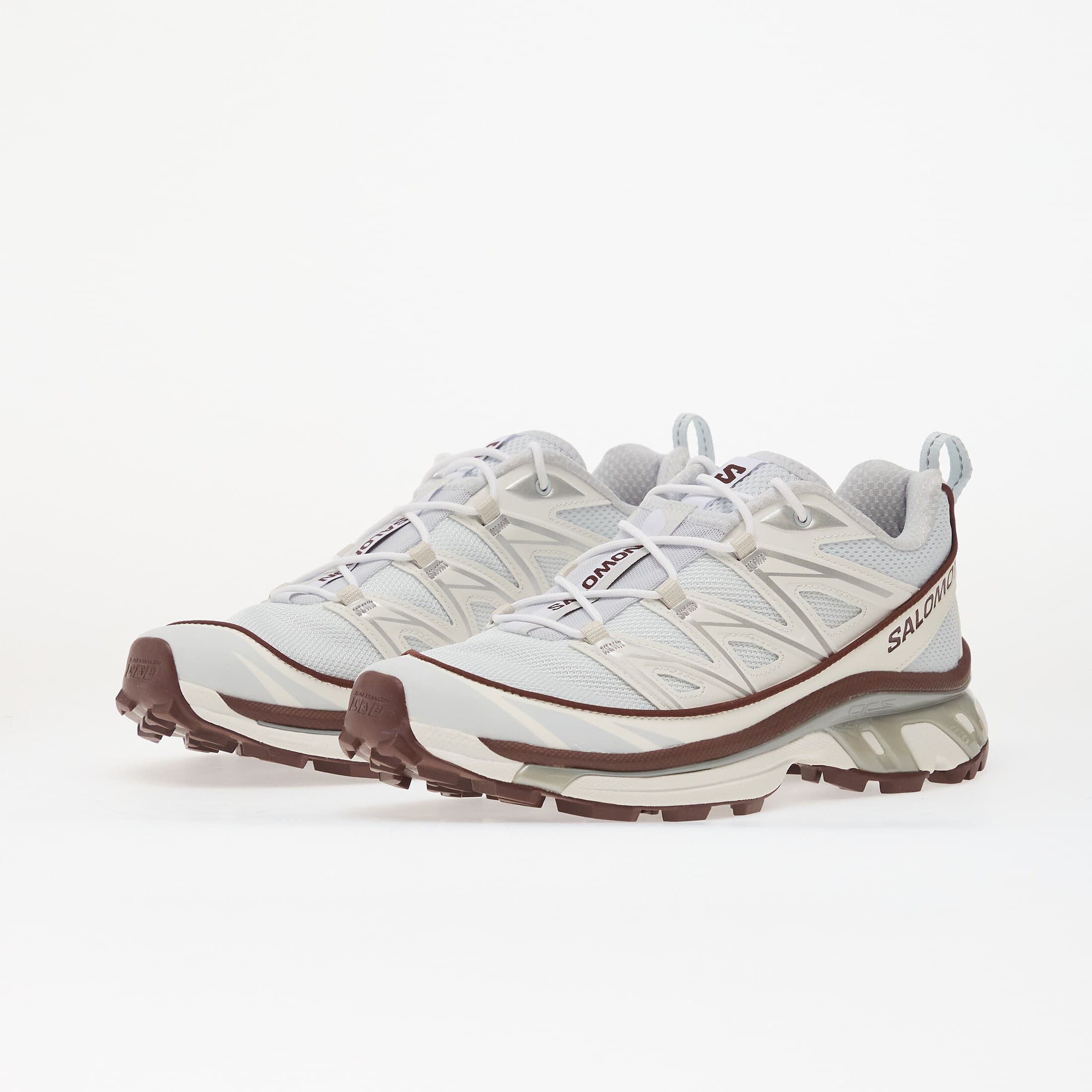Salomon Сникърси XT-6 Expanse Anciew/ Bchoco/ Ftw Silv