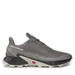 Salomon Маратонки за бягане Alphacross 5 473133 29 W0