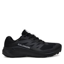 Salomon Маратонки за бягане Alphaglide Gore-Tex L47802100