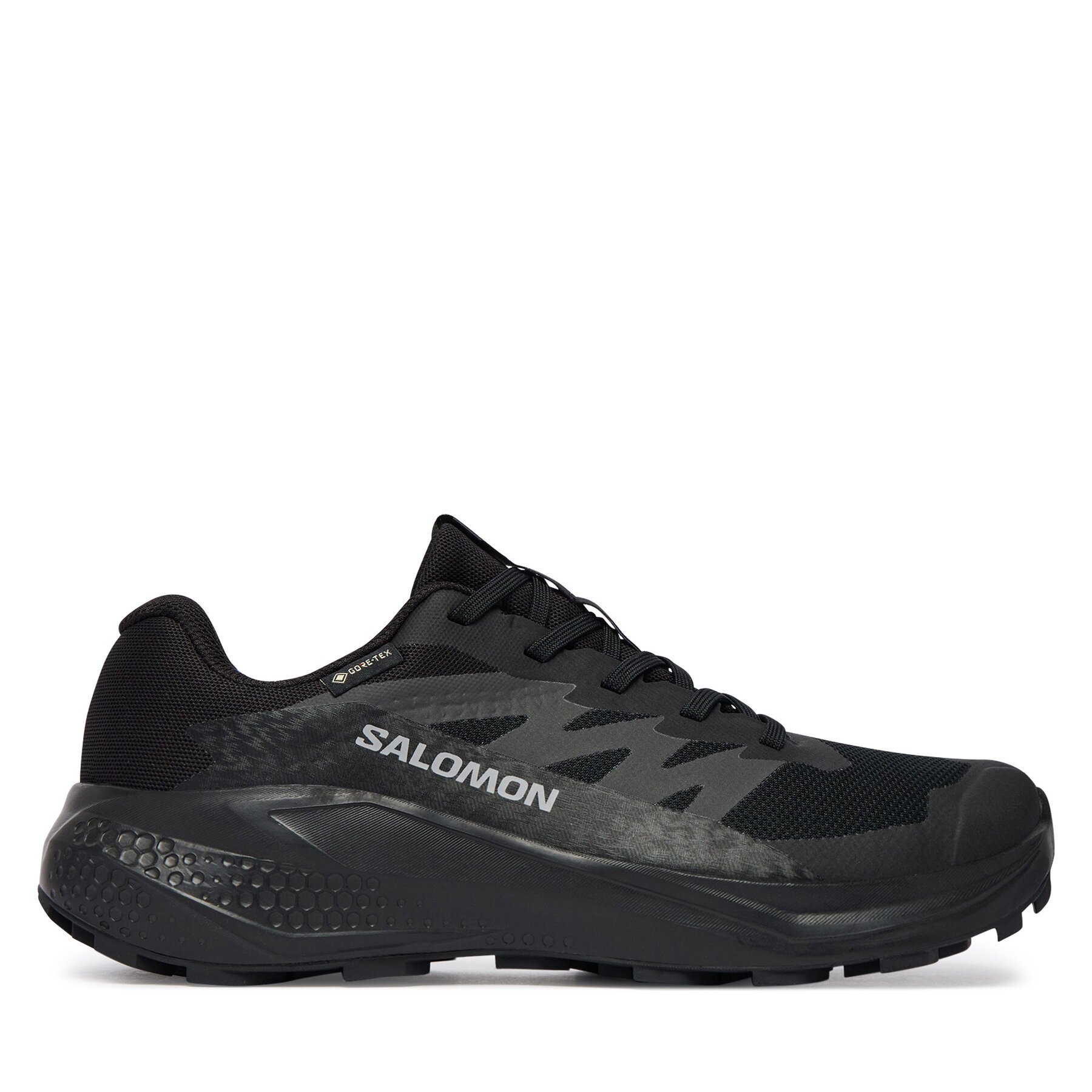 Salomon Маратонки за бягане Alphaglide Gtx W L49214400 Черен