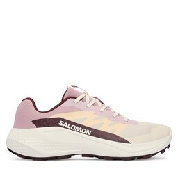 Salomon Маратонки за бягане Alphaglide W L49092800