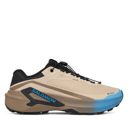 Salomon Маратонки за бягане Genesis 2 GORE-TEX L49302000 Бежов