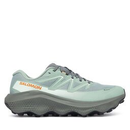 Salomon Маратонки за бягане Ultra Flow 2 Gtx GORE-TEX L45473900 Зелен