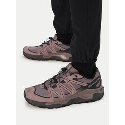 Salomon Сникърси Xc Roam L49238900 Кафяв