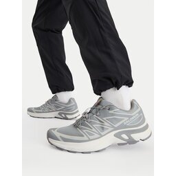 Salomon Сникърси Xt-Evr M L49143700 Сив